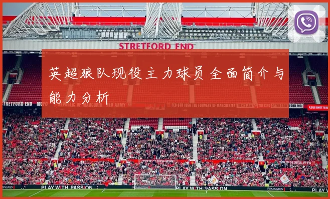 英超狼队现役主力球员全面简介与能力分析