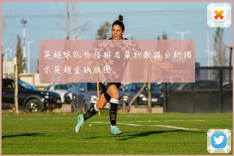 英超球队价格排名最新数据分析揭示英超金钱版图