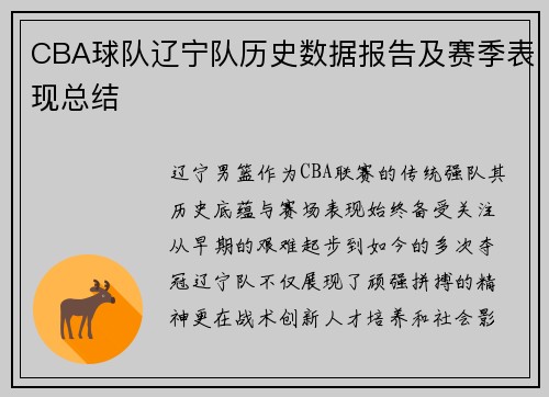 CBA球队辽宁队历史数据报告及赛季表现总结